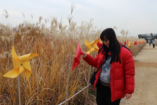 억새길을 배경으로 찍은 사진입니다.