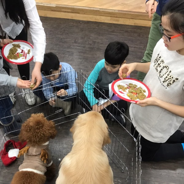 동물매개치료 하반기 단기체험에서 강아지에게 만든 사료를 주고 있는 사진입니다.