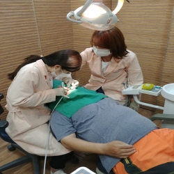 치과진료