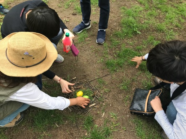 숲체험 활동사진