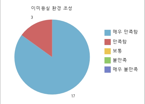 전반적인 만족도 결과