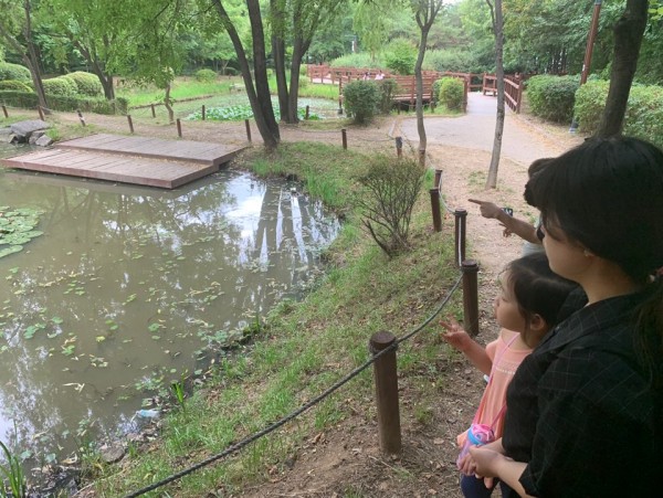 신나는학교 연못 바라보는 사진