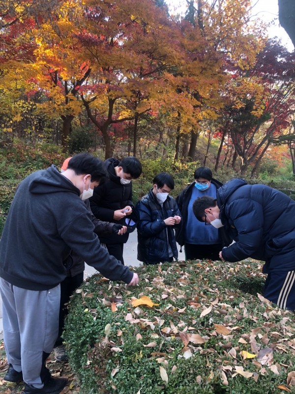 자연속의 열매를 찾고있는 직업적응훈련생들 사진