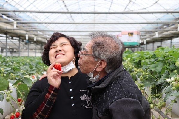 직접 수확한 딸기와 기념촬영