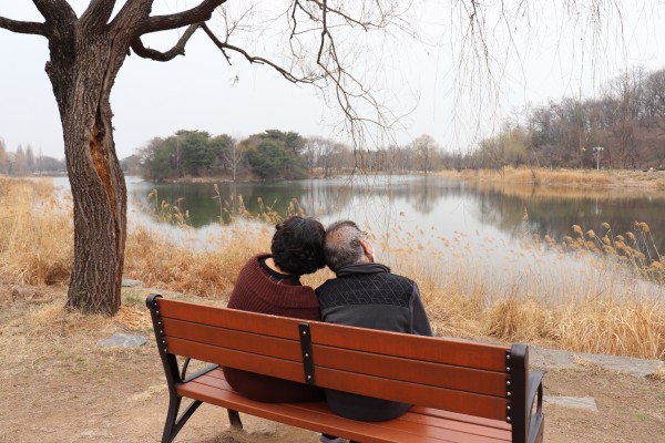 일산호수공원을 바라보는 뒷모습