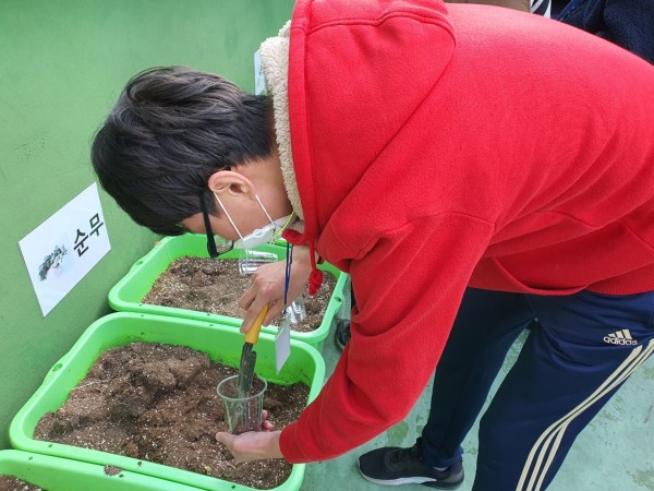 보리새싹을 심는 훈련생의 모습2