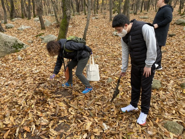 숲을 걷는 모습