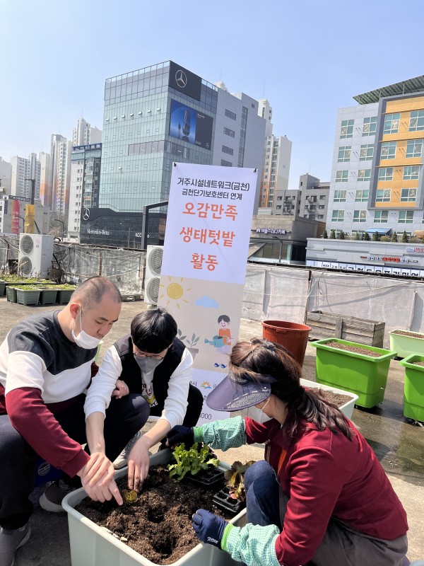 옥상 텃밭에서 재료심기