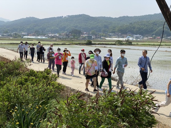 시골마을 산책하는 모습