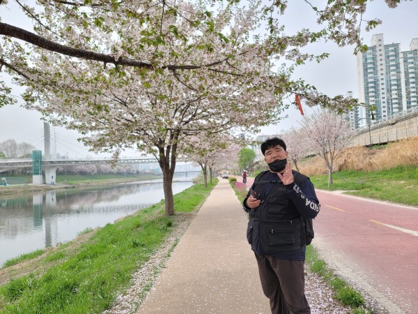 안양천에서 벚꽃과 함께 하는 이용자