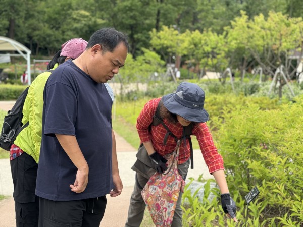 꿀풀을 구경하는 모습