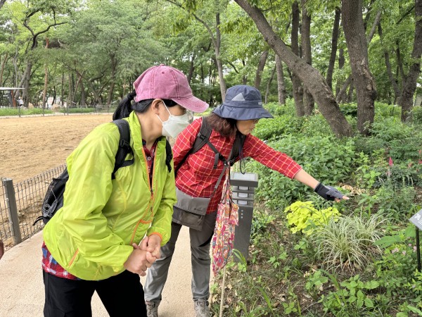 수국을 구경하는 모습