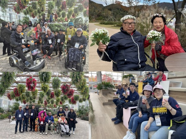 베고니아새정원 꽃밭에서 꽃들과 함께 찍은 사진