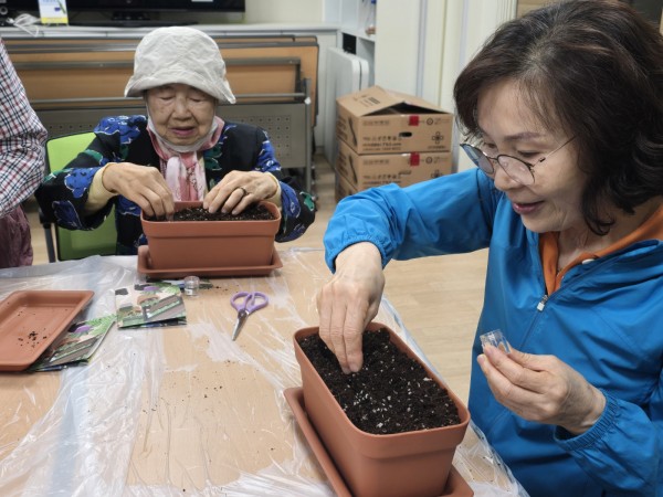 상추씨앗을 뿌리고 있는 모습