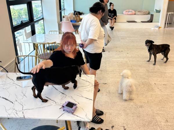 테이블 위에 있는 강아지를 쓰다듬는 은정씨와 검은 강아지와 아이컨텍하는 소이씨