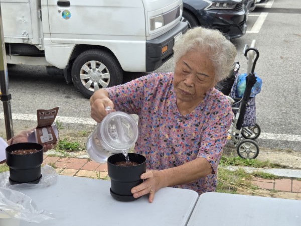 강낭콩 화분에 물을 넣는 모습