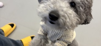 [취업자 자조모임] 2월 자조모임 진행했습니다 !