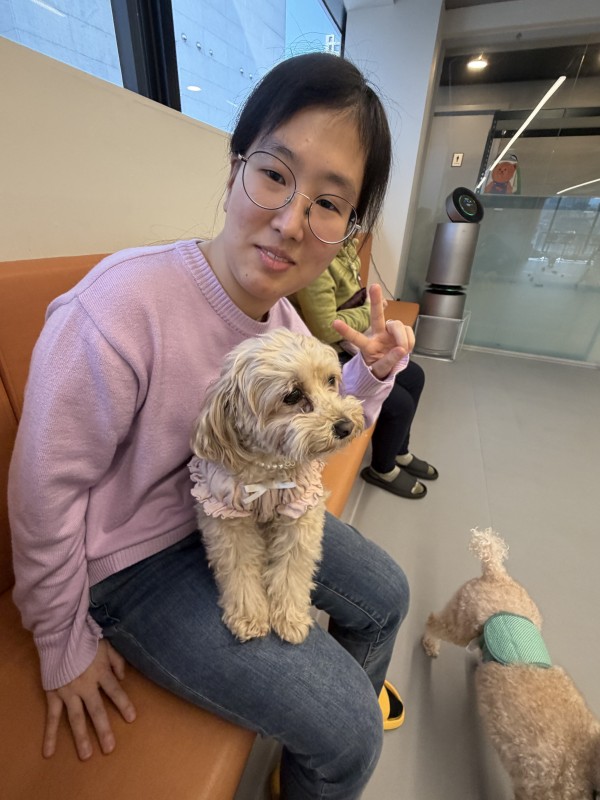 애견카페 강아지와 함께 노는 모습