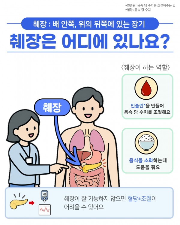 췌장은 어디에 있나요?  췌장: 배 안쪽, 위의 뒤쪽에 있는 장기  췌장은 어디에 있나요?  췌장이 하는 역할  인슐린을 만들어 몸속 당 수치를 조절해요.  음식을 소화하는데 도움을 줘요.  췌장이 잘 기능하지 않으면 혈당 조절이 어려울 수 있어요.  인슐린: 몸속 당 수치를 조절해주는 것 혈당: 몸속 당 수치