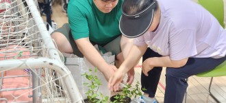 [스포츠건강] 체육관에 피어난 스피어민트